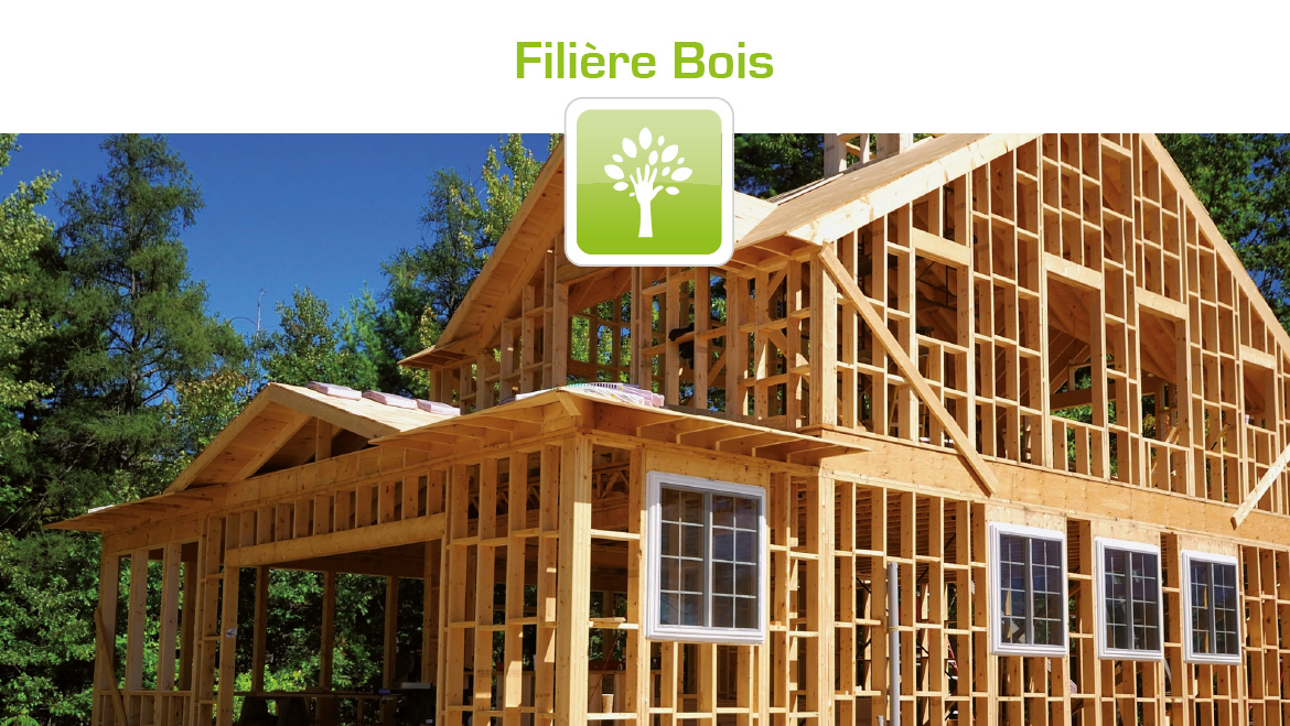 Filière bois